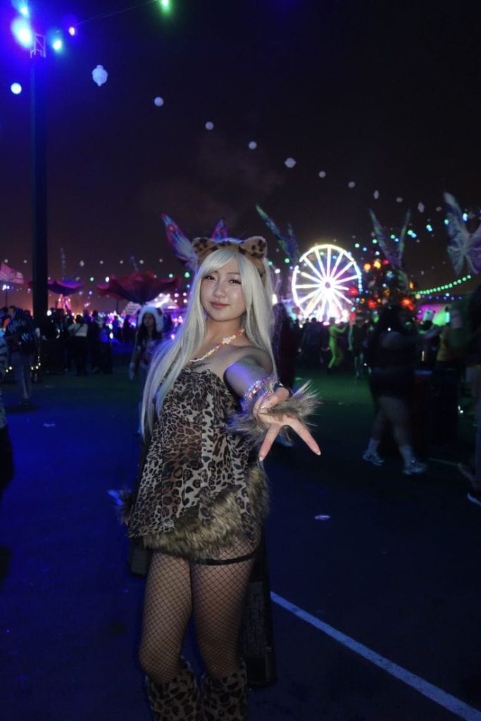 Fun Festival Outfits leopard tee fishnet tights