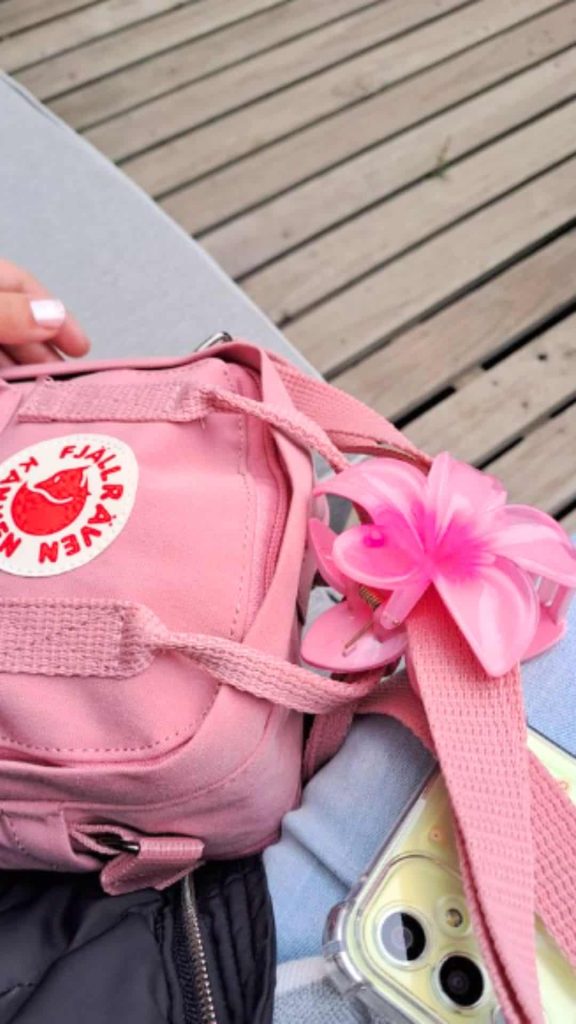 pink bag and pink hair clip