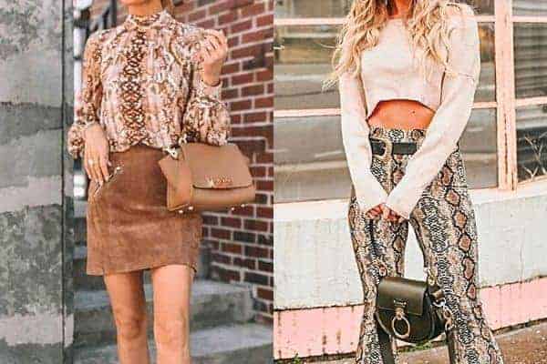 what colors go with snakeskin