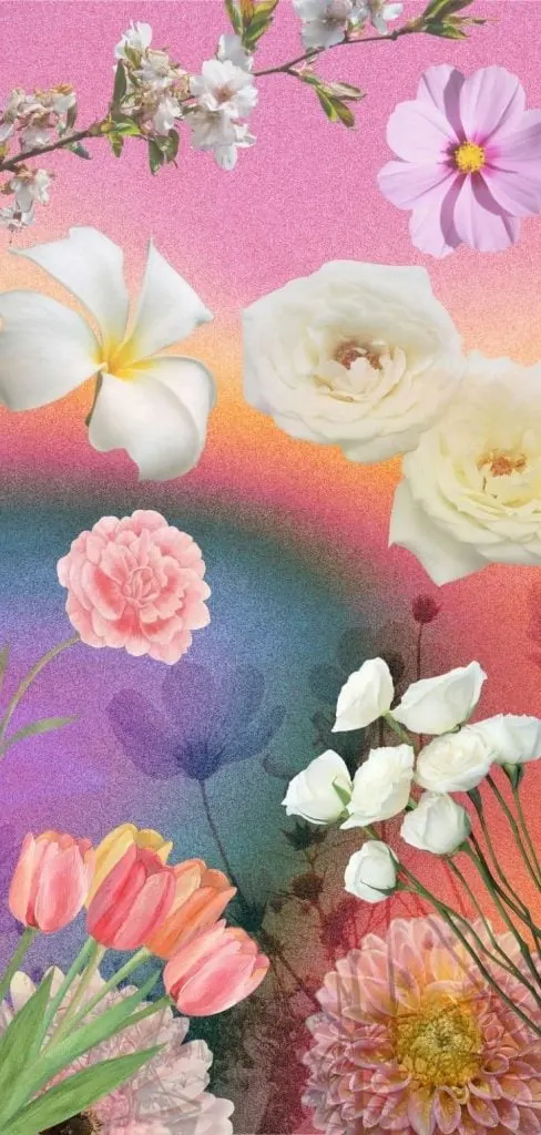 Aesthetic pink flower collage